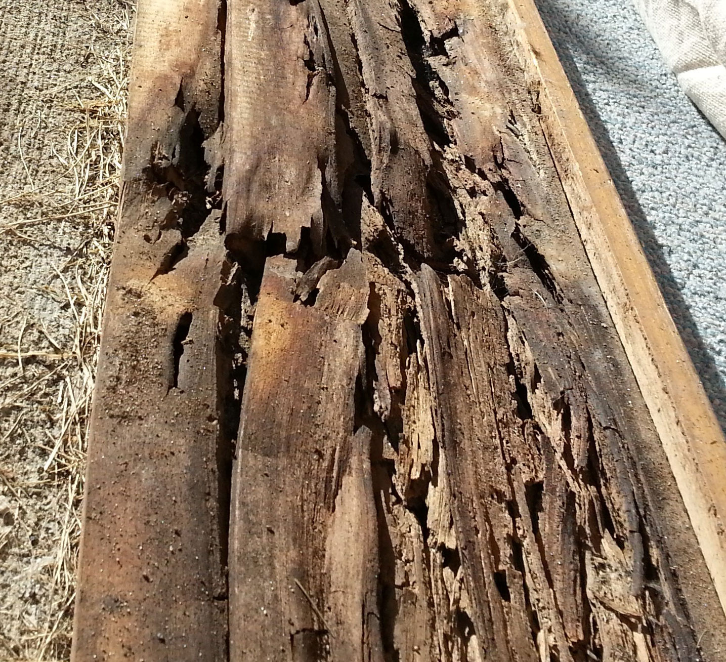 Unsightly Wood Rot